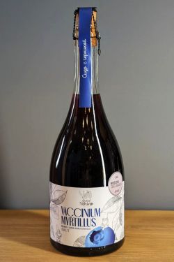 Cidre'Rhino Vaccinium Myrtillus zero dosage brut